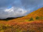Iceland. Landscape in Tungudalur during autumn. Art Print